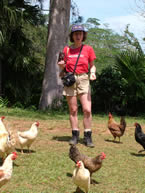 Chicken Farmer